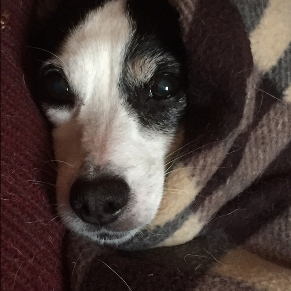 Suggested user (maria) - Picture 4 of 4