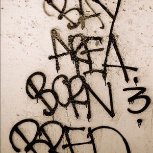 Meet your Posher, Maggie