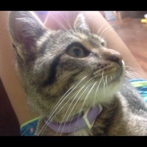 Meet your Posher, Natalie