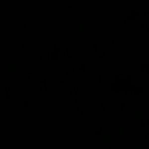 Meet your Posher, Julio