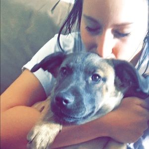 Meet your Posher, Taylor