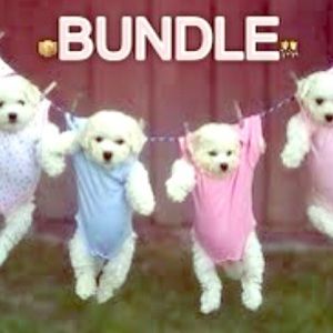 BUNDLE