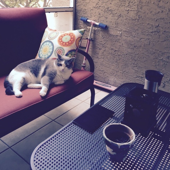 Meet your Posher, Catrina- Suggested User❤️ - Picture 4 of 4