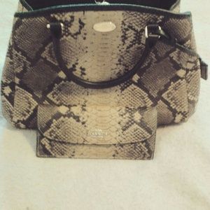 Coach Purse & Wallet