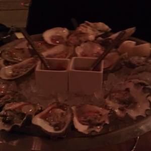 Meet your Posher, Nellie