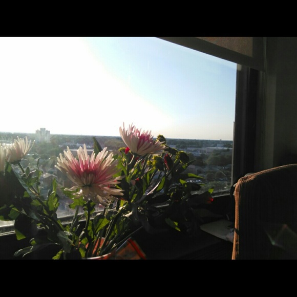 Meet your Posher, Kamilah - Picture 1 of 1