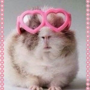 Meet your Posher, Robin