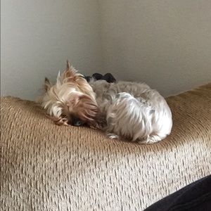 Meet your Posher, Eddie