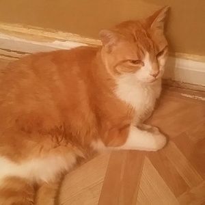 Meet your Posher, Christi