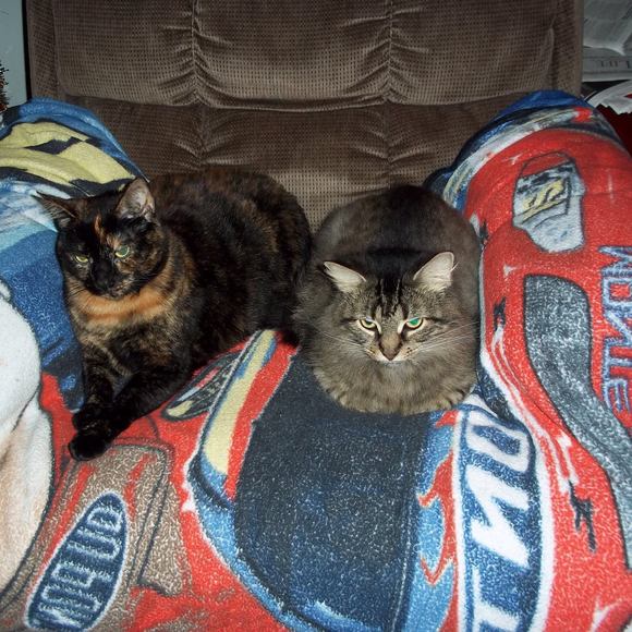 Meet your Posher, Carol