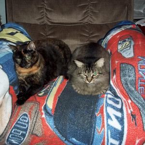 Meet your Posher, Carol