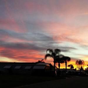 Meet your Posher, Sharon