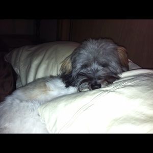 Meet your Posher, Kim