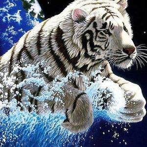 Meet your Posher, April