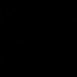 Meet your Posher, Annette