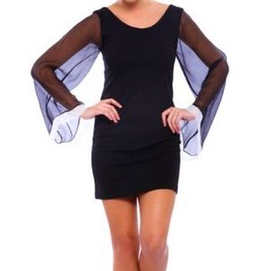 Analili black and Ivory Shift Dress