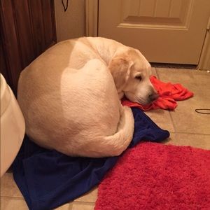 Meet your Posher, Tammy