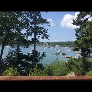 Meet your Posher, Monica