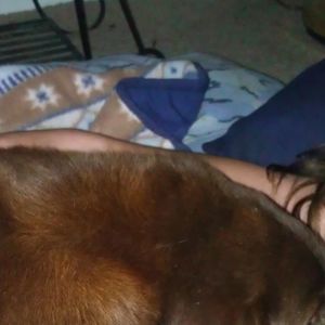 Meet your Posher, Barbara