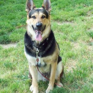 Meet your Posher, Angelina