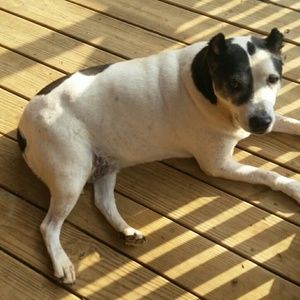 Meet your Posher, Lynn