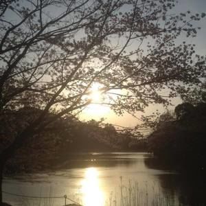 Meet your Posher, Howard