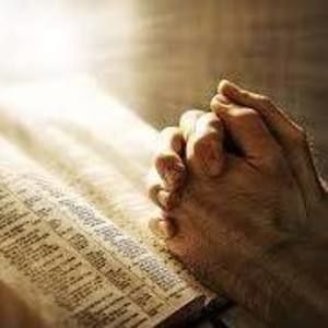 Meet your Posher, Ismael