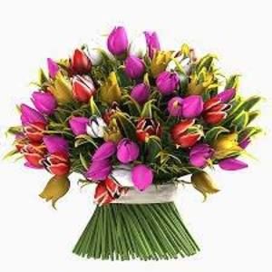 Meet your Posher, Tamara