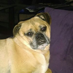 Meet your Posher, Brandy