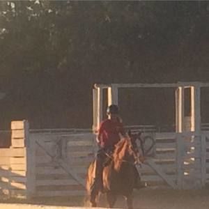 Meet your Posher, Joy