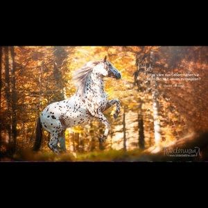 Meet your Posher, Tina