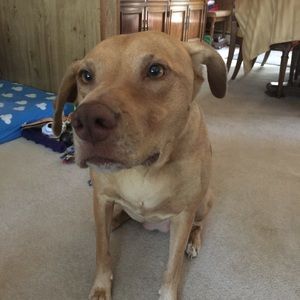 Meet your Posher, Zach