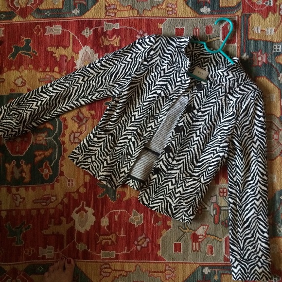 ECI Zebra Striped Blazer Jacket