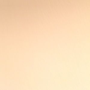 Meet your Posher, Rhett