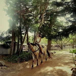 Meet your Posher, Daisy