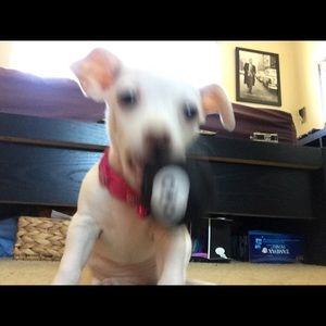 Meet your Posher, Chris