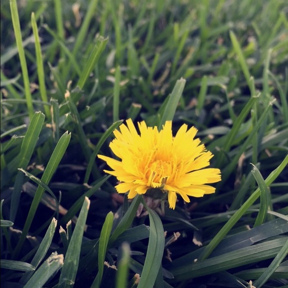 Meet your Posher, Brooklyn