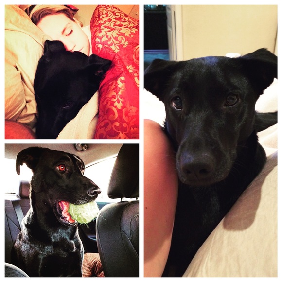 Meet your seller!!💗💍🎀 - Picture 3 of 4