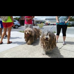 Meet your Posher, Jatana