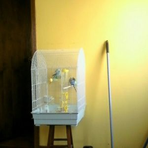 Meet your Posher, Noemi