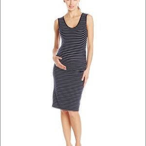 Ripe Maternity Dress
