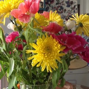 Meet your Posher, Rosalva