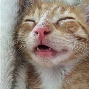 Meet your Posher, Karolina