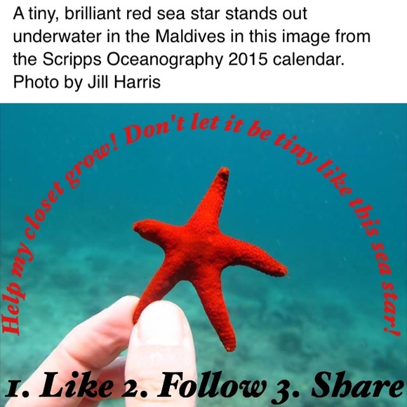 🌊Follow Game!🌊