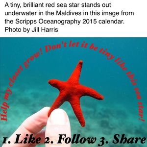 🌊Follow Game!🌊