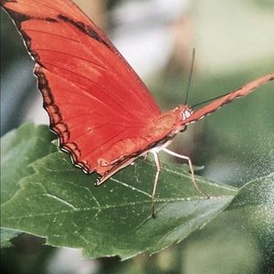 Meet your Posher, Marilyn