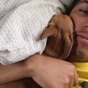 Meet your Posher, Gabriel