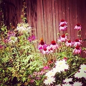 Meet your Posher, Liz