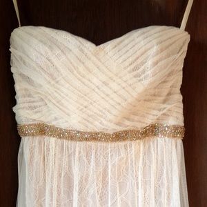 Floor Length Beige/Ivory Lace and Mesh Gown