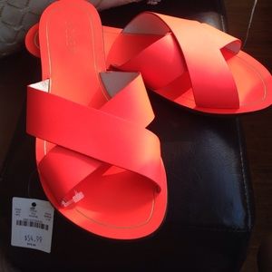 Never worn brand new j crew sandals!